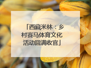 西藏米林：乡村赛马体育文化活动圆满收官