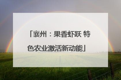 襄州：果香虾跃 特色农业激活新动能