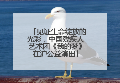 见证生命绽放的光彩，中国残疾人艺术团《我的梦》在沪公益演出