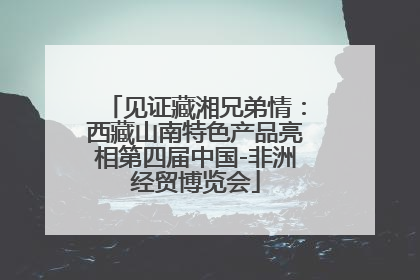 见证藏湘兄弟情：西藏山南特色产品亮相第四届中国-非洲经贸博览会