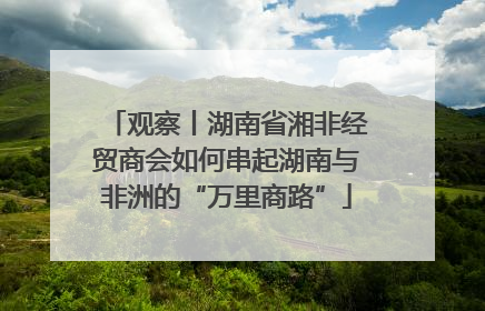 观察丨湖南省湘非经贸商会如何串起湖南与非洲的“万里商路”