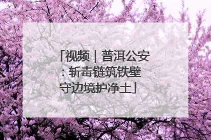视频｜普洱公安：斩毒链筑铁壁 守边境护净土