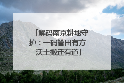 解码南京耕地守护：一码管田有方 沃土搬迁有道