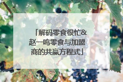 解码零食很忙&赵一鸣零食与加盟商的共赢方程式