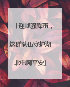 迎战强降雨，这群队伍守护湖北电网平安