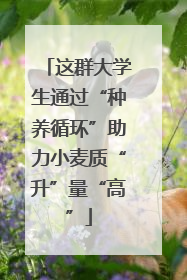 这群大学生通过“种养循环”助力小麦质“升”量“高”