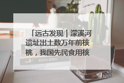远古发现｜濛溪河遗址出土数万年前核桃，我国先民食用核桃历史大幅提前