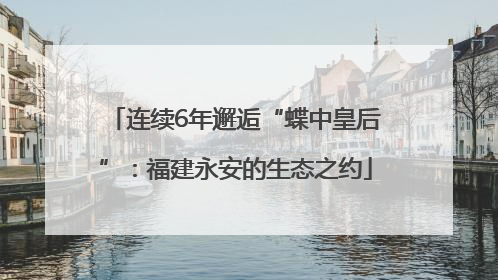 连续6年邂逅“蝶中皇后”：福建永安的生态之约