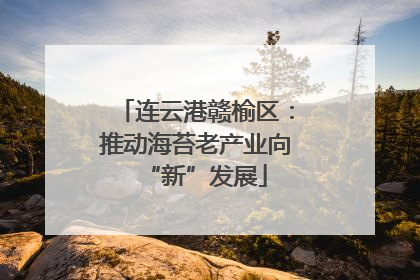 连云港赣榆区：推动海苔老产业向“新”发展
