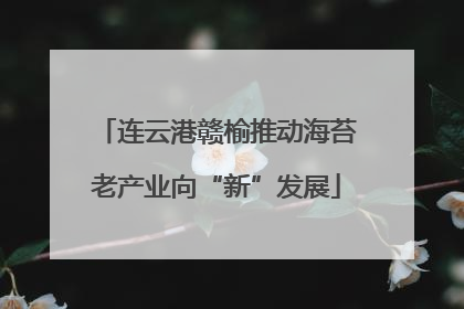 连云港赣榆推动海苔老产业向“新”发展
