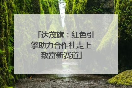 达茂旗：红色引擎助力合作社走上致富新赛道