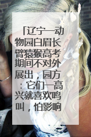 辽宁一动物园白眉长臂猿猴高考期间不对外展出，园方：它们一高兴就喜欢鸣叫，怕影响考试