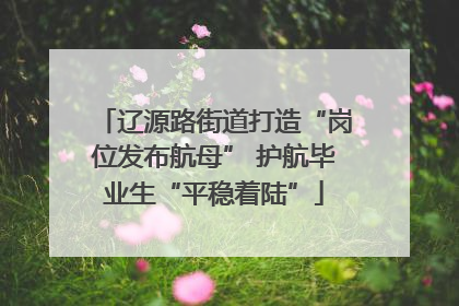 辽源路街道打造“岗位发布航母” 护航毕业生“平稳着陆”