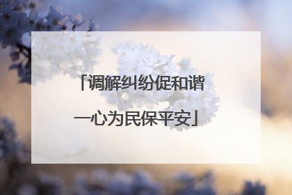调解纠纷促和谐 一心为民保平安