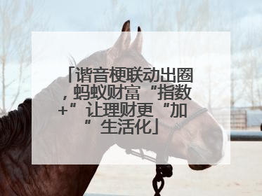 谐音梗联动出圈，蚂蚁财富“指数+”让理财更“加”生活化