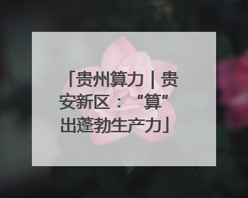 贵州算力｜贵安新区：“算”出蓬勃生产力