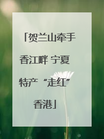 贺兰山牵手香江畔 宁夏特产“走红”香港