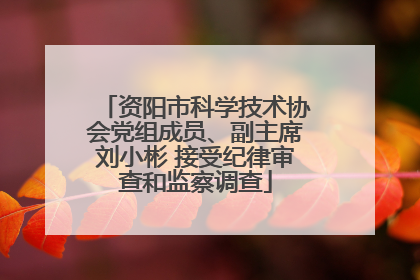 资阳市科学技术协会党组成员、副主席刘小彬 接受纪律审查和监察调查