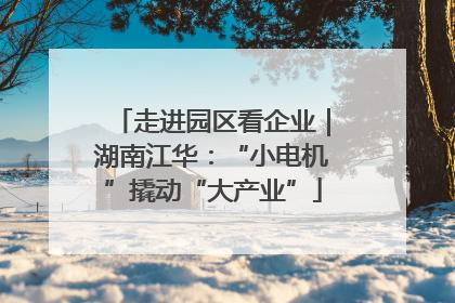 走进园区看企业｜湖南江华：“小电机”撬动“大产业”
