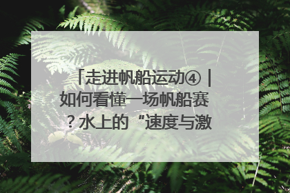 走进帆船运动④｜如何看懂一场帆船赛？水上的“速度与激情”同样精彩