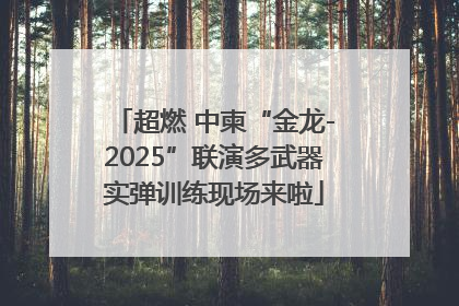 超燃 中柬“金龙-2025”联演多武器实弹训练现场来啦