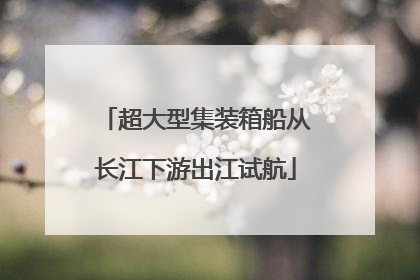 超大型集装箱船从长江下游出江试航