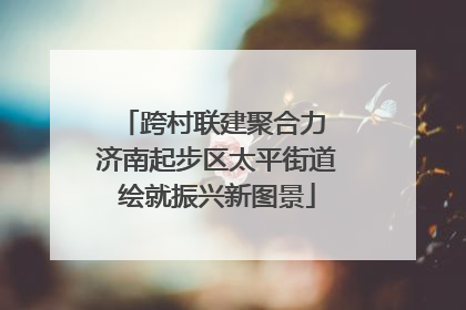 跨村联建聚合力 济南起步区太平街道绘就振兴新图景