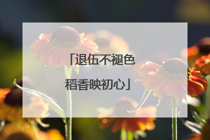 退伍不褪色 稻香映初心