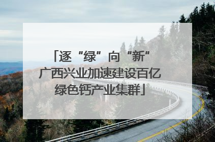 逐“绿”向“新” 广西兴业加速建设百亿绿色钙产业集群