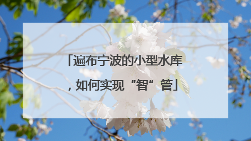 遍布宁波的小型水库，如何实现“智”管