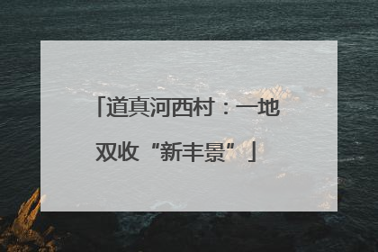 道真河西村：一地双收“新丰景”