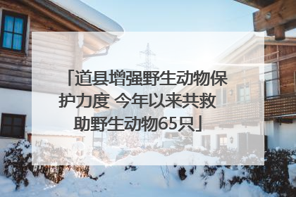 道县增强野生动物保护力度 今年以来共救助野生动物65只