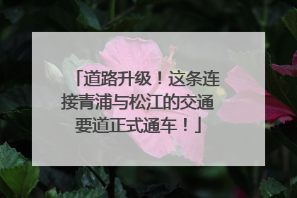 道路升级！这条连接青浦与松江的交通要道正式通车！