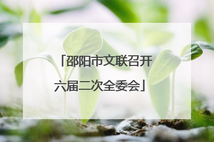 邵阳市文联召开六届二次全委会