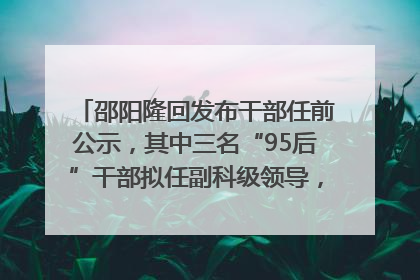 邵阳隆回发布干部任前公示，其中三名“95后”干部拟任副科级领导，均系硕士选调生