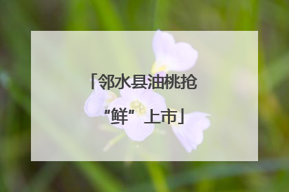 邻水县油桃抢“鲜”上市