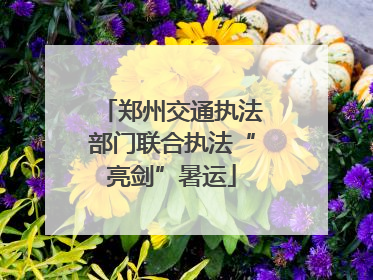 郑州交通执法部门联合执法“亮剑”暑运