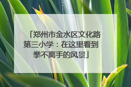 郑州市金水区文化路第三小学：在这里看到拳不离手的风景