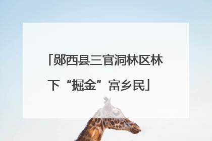 郧西县三官洞林区林下“掘金”富乡民