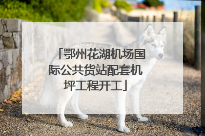 鄂州花湖机场国际公共货站配套机坪工程开工