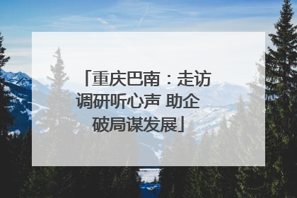 重庆巴南：走访调研听心声 助企破局谋发展