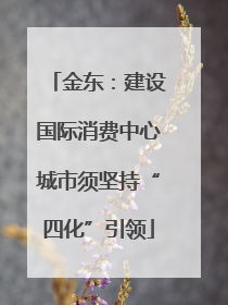 金东：建设国际消费中心城市须坚持“四化”引领