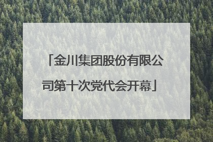 金川集团股份有限公司第十次党代会开幕