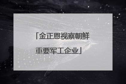 金正恩视察朝鲜重要军工企业