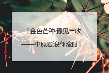 金色芒种·豫见丰收——中原麦浪翻滚时