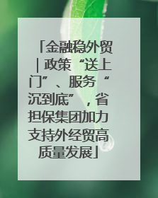 金融稳外贸｜政策“送上门”、服务“沉到底”，省担保集团加力支持外经贸高质量发展