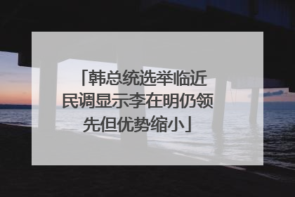 韩总统选举临近 民调显示李在明仍领先但优势缩小