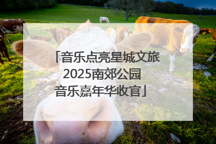 音乐点亮星城文旅 2025南郊公园音乐嘉年华收官