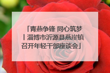 青燕争锋 同心筑梦丨淄博市沂源县燕崖镇召开年轻干部座谈会