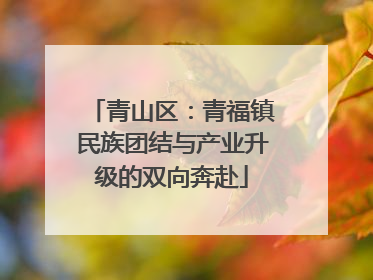 青山区：青福镇民族团结与产业升级的双向奔赴